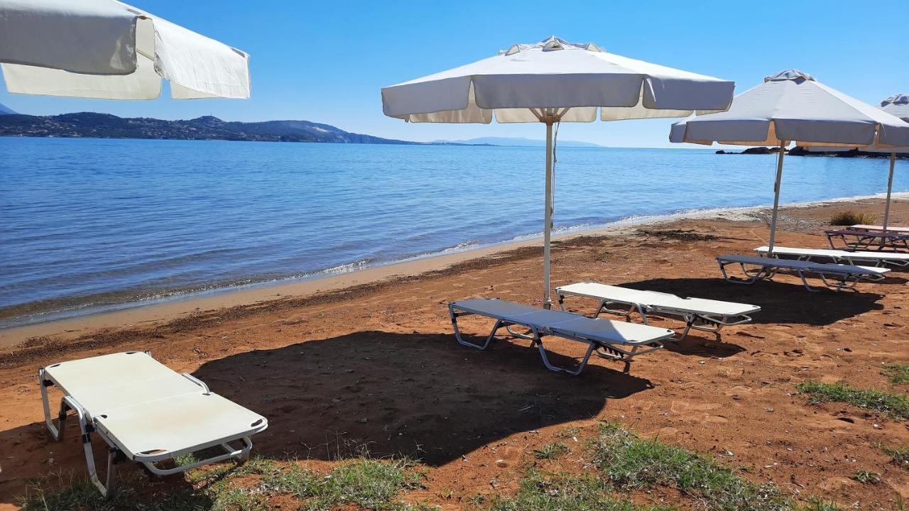 Alekos Beach Houses-Alekos Beach Complex Lixouri Exterior photo